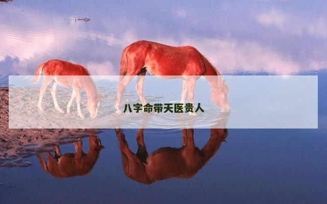 八字命带天医贵人