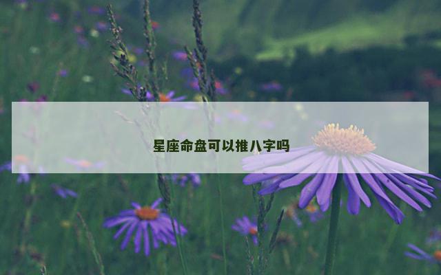 星座命盘可以推八字吗