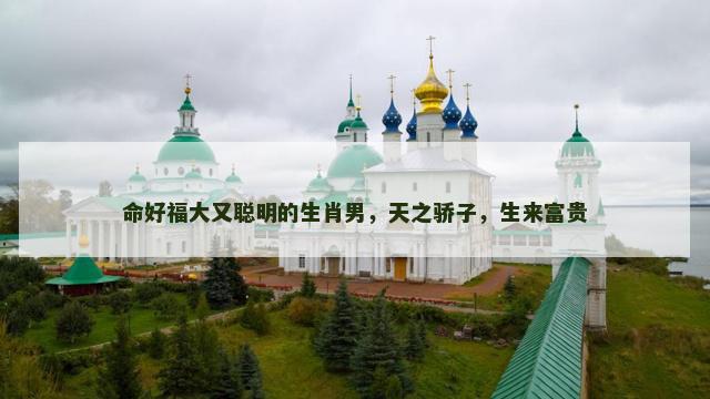 命好福大又聪明的生肖男，天之骄子，生来富贵