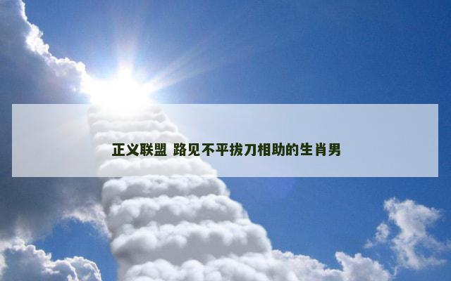 正义联盟 路见不平拔刀相助的生肖男