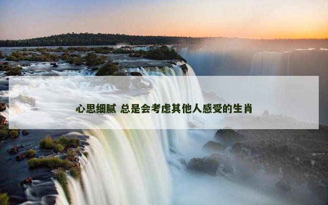 心思细腻 总是会考虑其他人感受的生肖