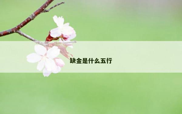缺金是什么五行