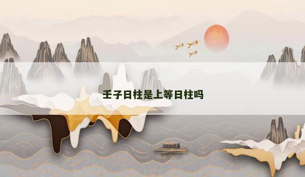 壬子日柱是上等日柱吗