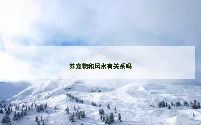 养宠物和风水有关系吗