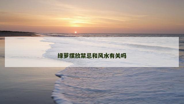 绿萝摆放禁忌和风水有关吗