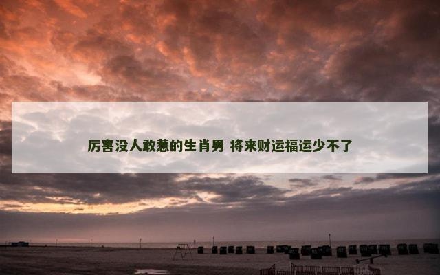 厉害没人敢惹的生肖男 将来财运福运少不了