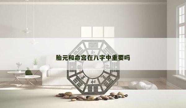 胎元和命宫在八字中重要吗