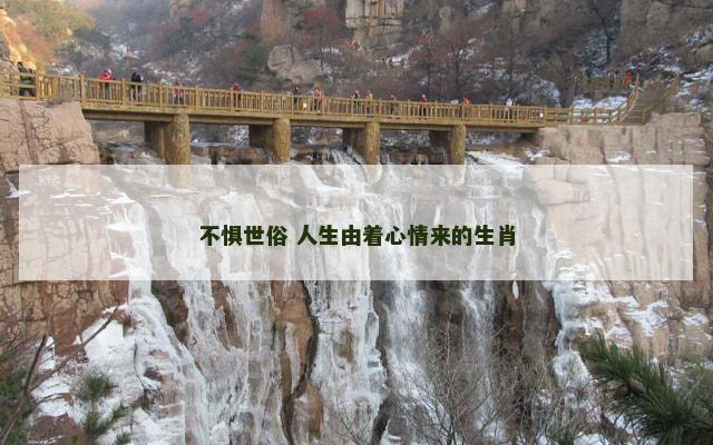 不惧世俗 人生由着心情来的生肖