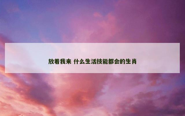放着我来 什么生活技能都会的生肖