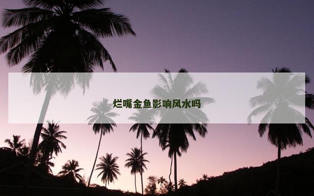烂嘴金鱼影响风水吗