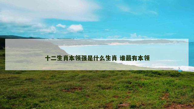 十二生肖本领强是什么生肖 谁最有本领