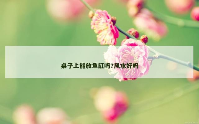 桌子上能放鱼缸吗?风水好吗