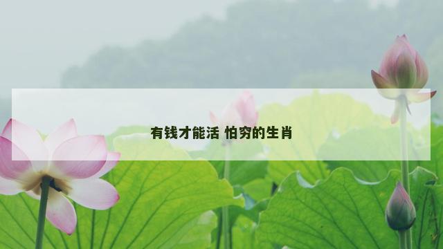有钱才能活 怕穷的生肖