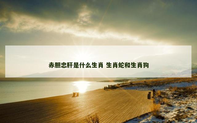 赤胆忠肝是什么生肖 生肖蛇和生肖狗