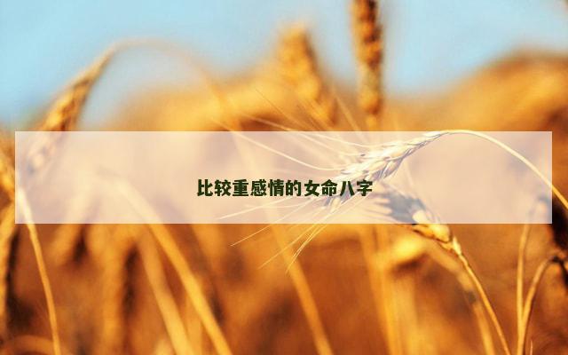 比较重感情的女命八字