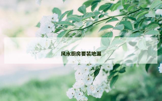 风水厨房要装地漏