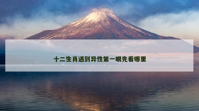 十二生肖遇到异性第一眼先看哪里