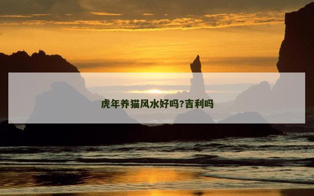 虎年养猫风水好吗?吉利吗