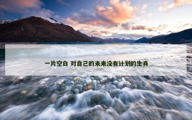 一片空白 对自己的未来没有计划的生肖