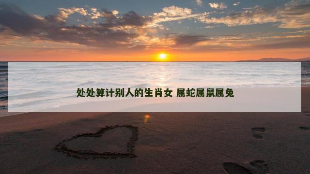 处处算计别人的生肖女 属蛇属鼠属兔
