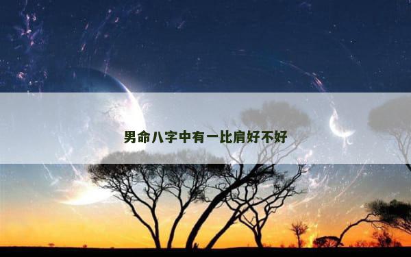 男命八字中有一比肩好不好