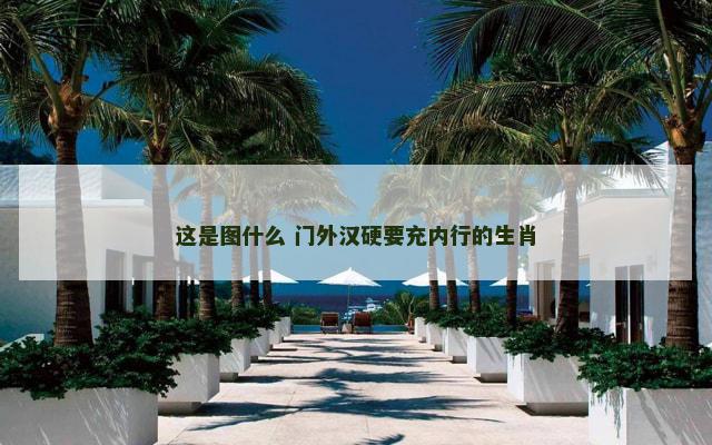这是图什么 门外汉硬要充内行的生肖