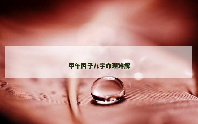 甲午丙子八字命理详解