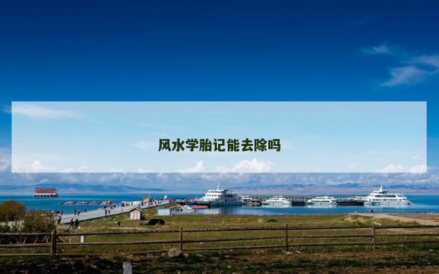 风水学胎记能去除吗
