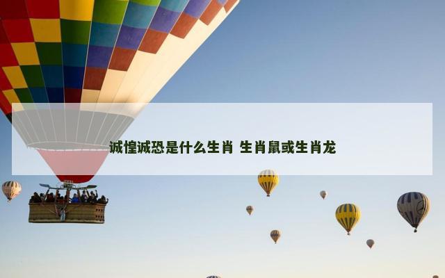 诚惶诚恐是什么生肖 生肖鼠或生肖龙