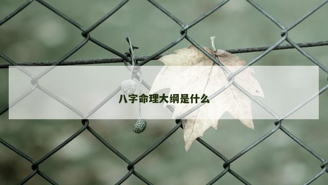 八字命理大纲是什么