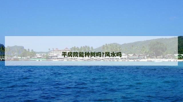 平房院能种树吗?风水吗