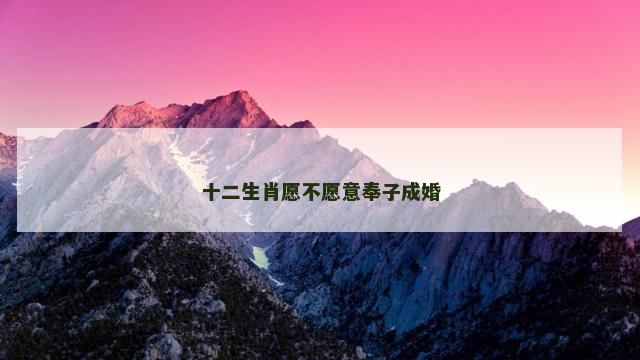 十二生肖愿不愿意奉子成婚