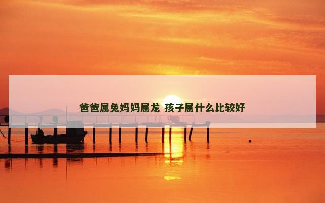 爸爸属兔妈妈属龙 孩子属什么比较好