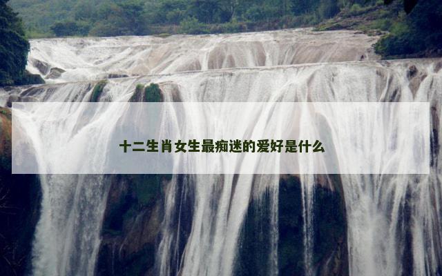 十二生肖女生最痴迷的爱好是什么