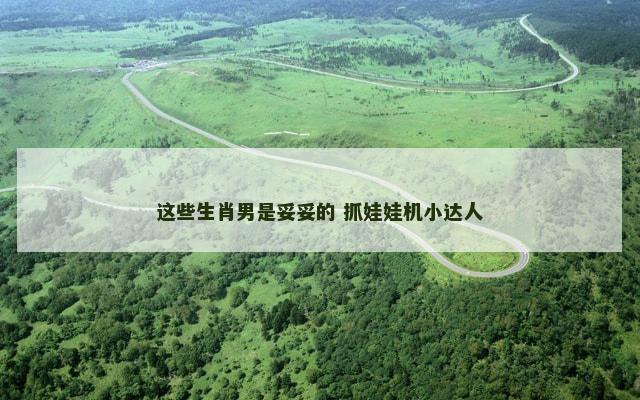这些生肖男是妥妥的 抓娃娃机小达人