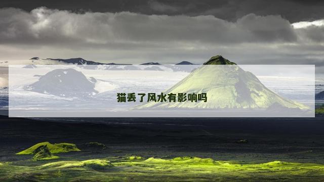 猫丢了风水有影响吗