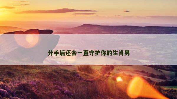 分手后还会一直守护你的生肖男