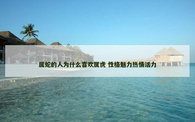 属蛇的人为什么喜欢属虎 性格魅力热情活力