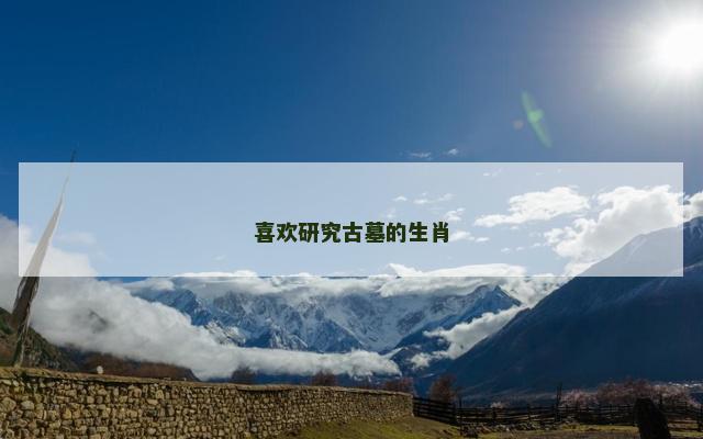 喜欢研究古墓的生肖