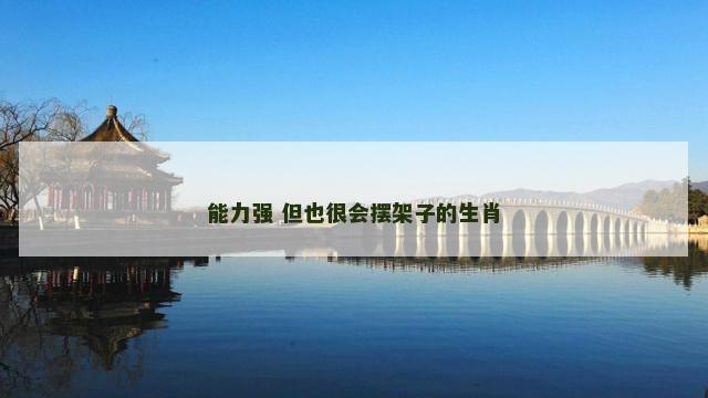 能力强 但也很会摆架子的生肖