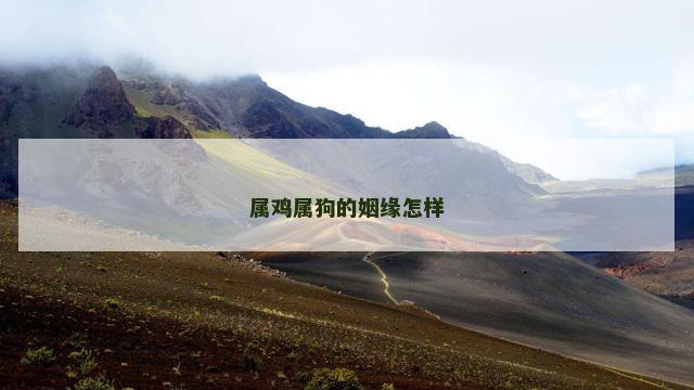 属鸡属狗的姻缘怎样