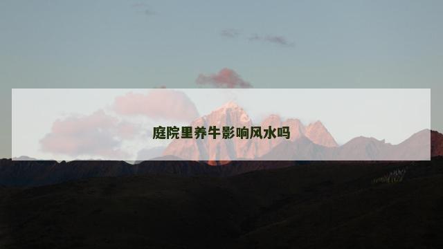 庭院里养牛影响风水吗