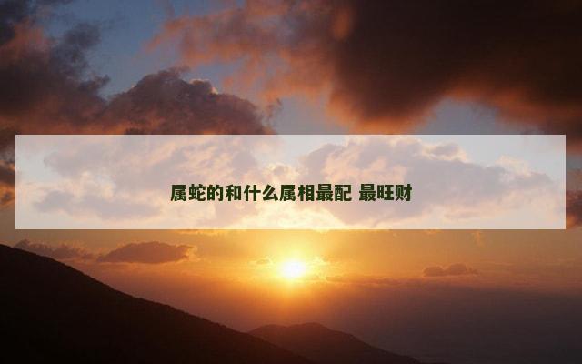 属蛇的和什么属相最配 最旺财