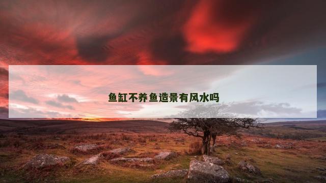 鱼缸不养鱼造景有风水吗