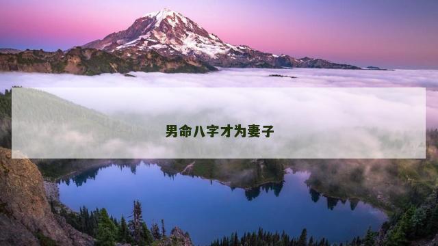 男命八字才为妻子