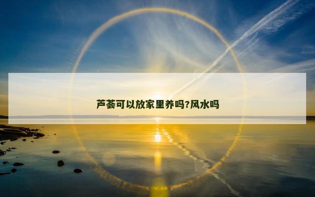 芦荟可以放家里养吗?风水吗