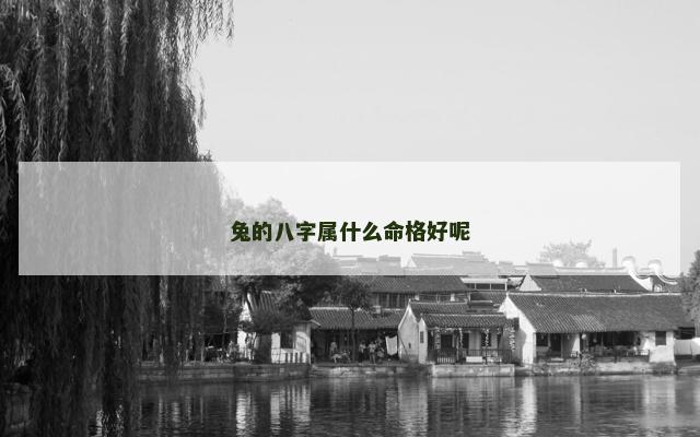 兔的八字属什么命格好呢