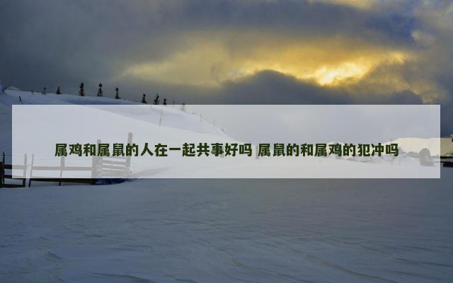属鸡和属鼠的人在一起共事好吗 属鼠的和属鸡的犯冲吗