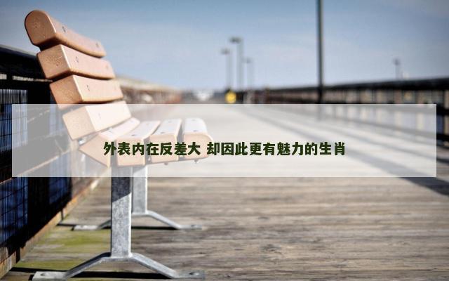 外表内在反差大 却因此更有魅力的生肖