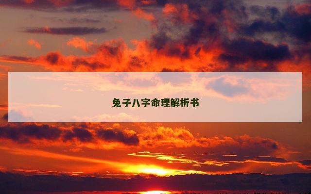 兔子八字命理解析书